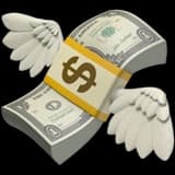 Image for the video